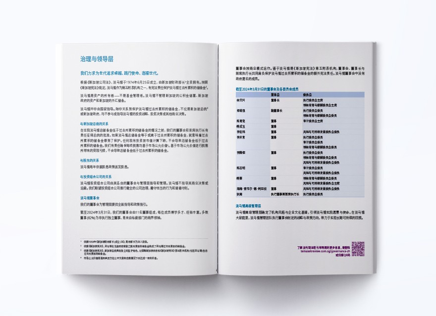 治理与领导层
